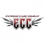 ecc-icon